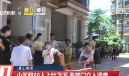 湛江徐闻最新爆料,揭秘神秘事件背后的真相